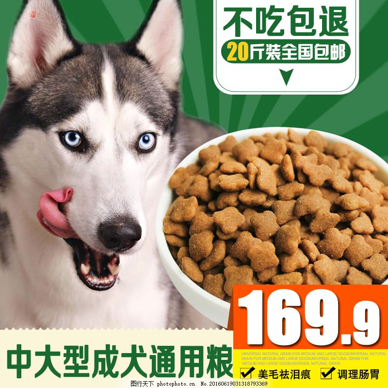守护爱犬健康，从优质狗粮开始