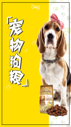 宠爱有粮，健康相伴——宠物狗粮手机海报创意解析